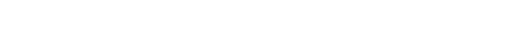 ★2021修正31　やんばる・森の恵み