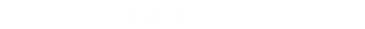 おきげい首里観光マッププロジェクト7