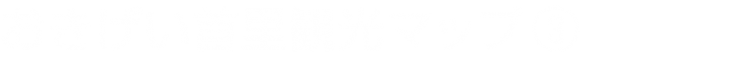 おきげい首里観光マッププロジェクト3