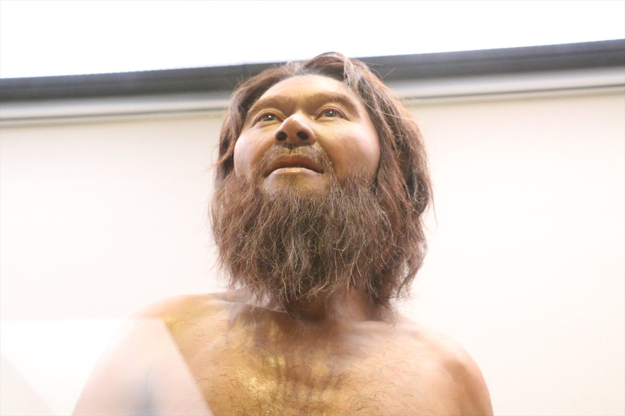 【沖縄・図録・人類学】人類の旅 港川人の来た道 国際博物館の日2021】古人骨から歴史の主人公の姿を探る | 学芸員